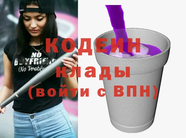 соль ск Арсеньев