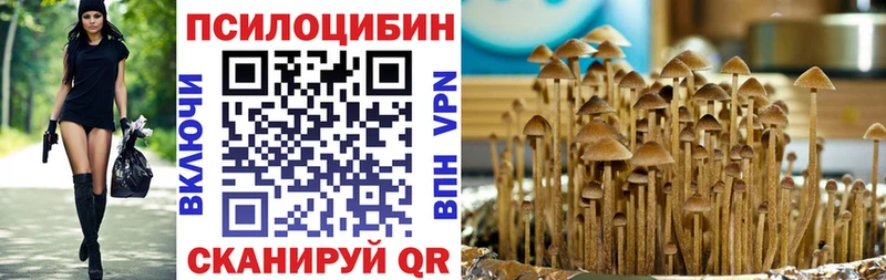 Галлюциногенные грибы Cubensis  Новоалександровск 